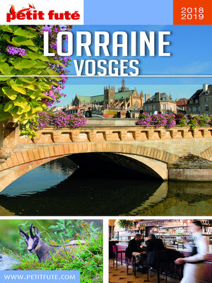 cover image of LORRAINE--VOSGES 2018/2019 Petit Futé